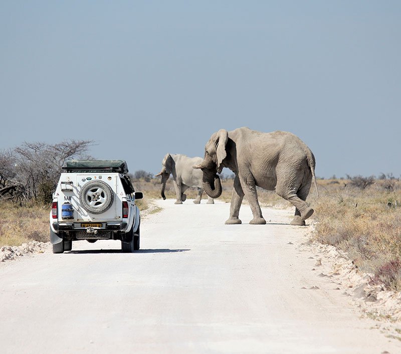Travelling in Namibia